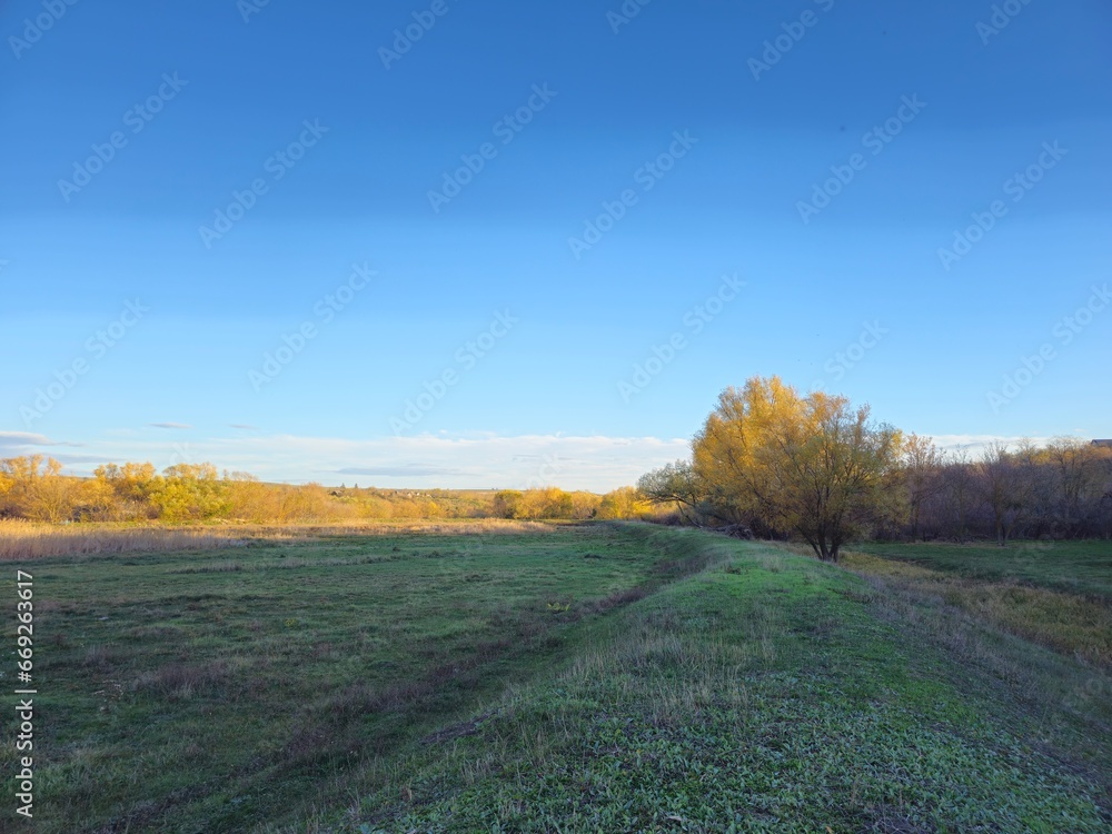 Naklejka premium A field with grass and trees