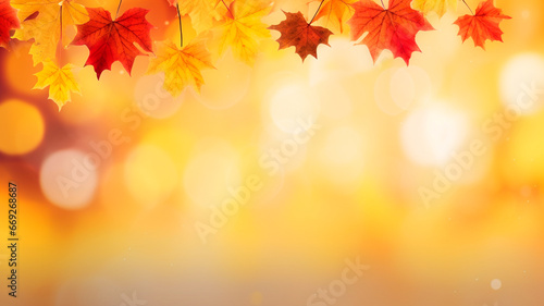 autumn background, maple leaves