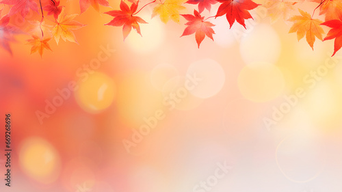 autumn background, maple leaves