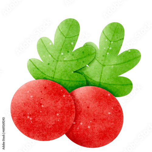 Watercolor Christmas cherry illustration 