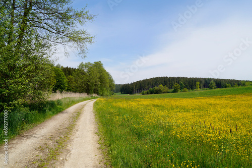 a scenic endless road leading through the picturesque Bavarian countryside with lush green meadows on a sunny spring day with the blue sky (Birkach, Bavaria, Germany)	 photo