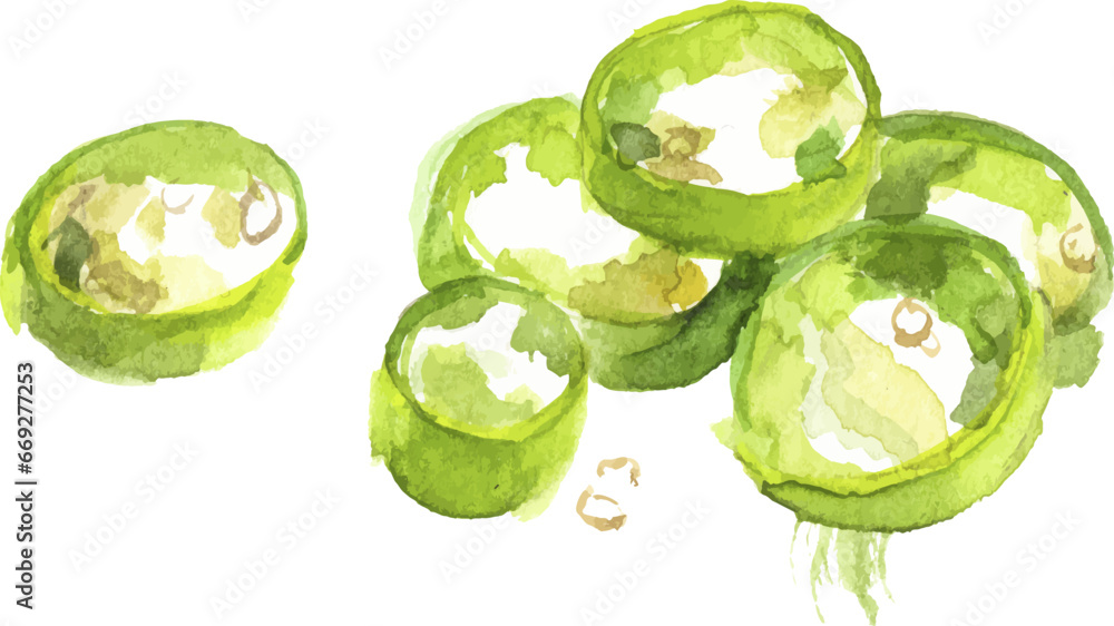 Obraz premium Vector Watercolor painted chili pepper. Hand drawn fresh food design element isolated on white background.