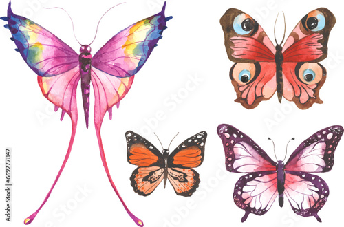Vector Watercolor painted butterfly. Hand drawn design elements isolated on white background. © vasabii