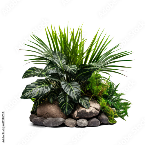 Lush green plants arranged with natural stones. A serene miniature garden isolated on a white background.