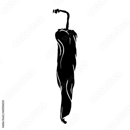 Silhouette of a hot chili pepper pod. Vector graphics.