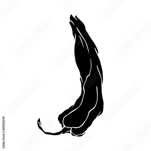 Silhouette of a hot chili pepper pod. Vector graphics.