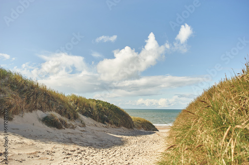 Fototapeta Naklejka Na Ścianę i Meble -  Path through the dunes and onto the beach in Denmark. High quality photo