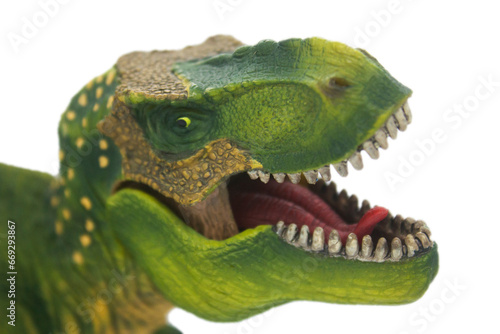 Tyrannosaurus Rex, © murdocksimages