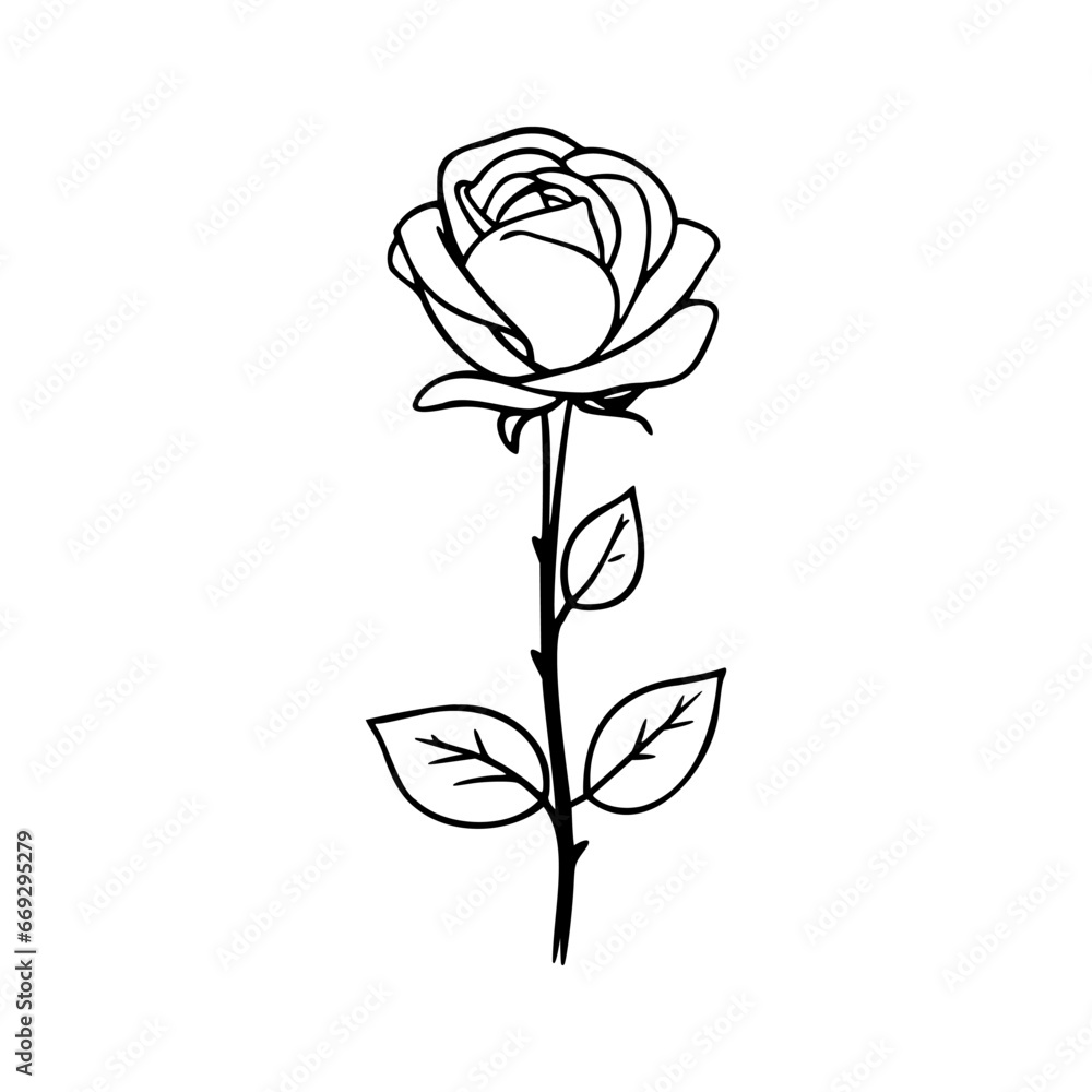 Rose flower illustration. Easy drawing line art. Simple vector isolated on a white background. Rose flower illustration. Easy drawing line art. Simple vector isolated on a white background.