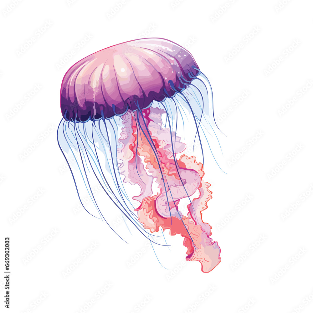 Hand Drawn Flat Color Phylum Illustration Hand Drawn Flat Color Phylum Illustration