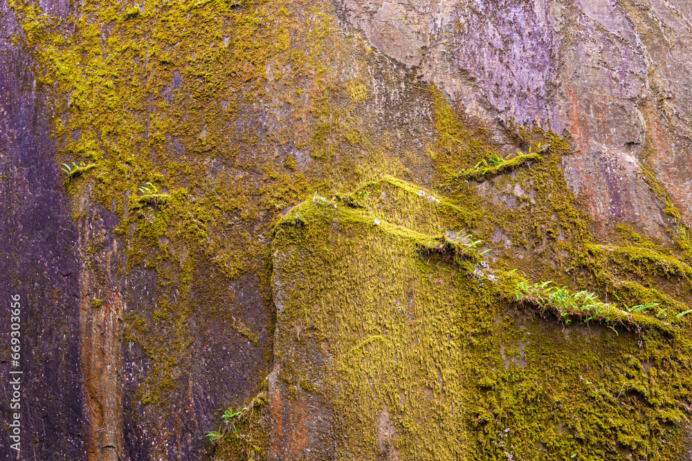 background of stone covered with moss