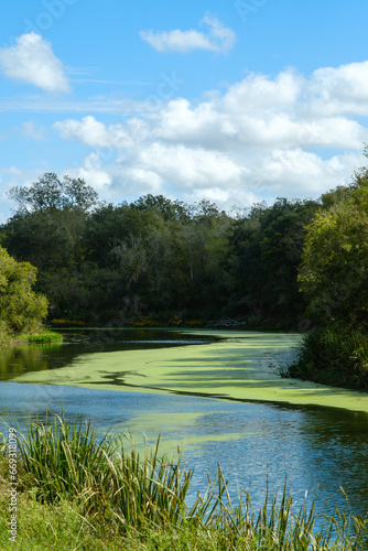 River in Brezos Bend State Park, Houston, Texas