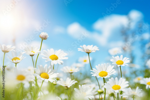 spring floral background nature with blooming glade of daisies and blue sky, generative ai © Hammad