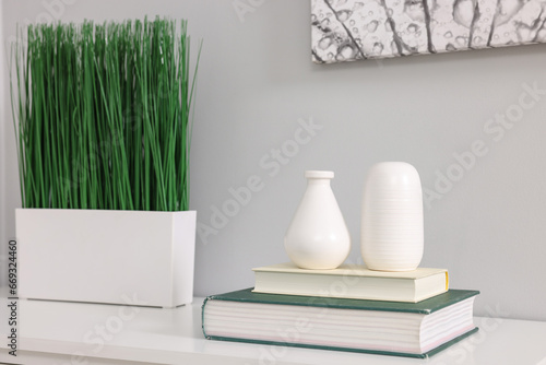 Potted artificial plant  books and decor on white table indoors