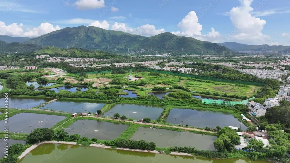 Marshes Nature Reserve wetland Countryside in New Territories Hong Kong Northern Metropolis Development, Drone Aerial Skyview of Fish Pond in Nam Sang Wai San Tin Mai Po Lok Ma Chau Yuen Long Marshes Nature Reserve wetland Countryside in New Territories Hong Kong Northern Metropolis Development, Drone Aerial Skyview of Fish Pond in Nam Sang Wai San Tin Mai Po Lok Ma Chau Yuen Long