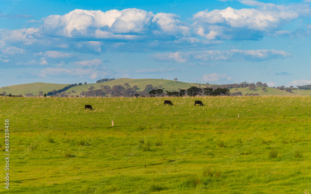 Carcoar Dam, Wind Turbines and countryside Carcoar Dam, Wind Turbines and countryside