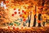 Falling maple leaves in a natural setting.vibrant foliage