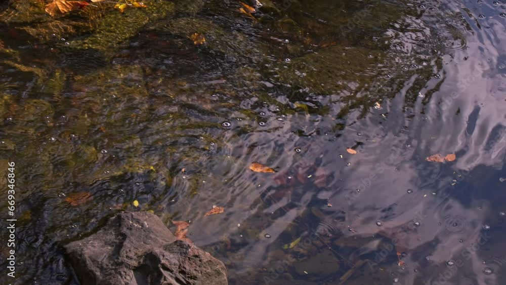 Water flowing in a stream nestled in the woods Water flowing in a stream nestled in the woods