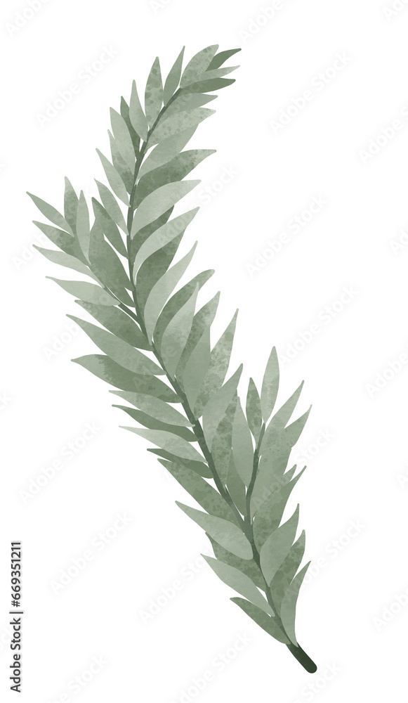 Watercolor Greenery leaf hand drawn illustration Watercolor Greenery leaf hand drawn illustration