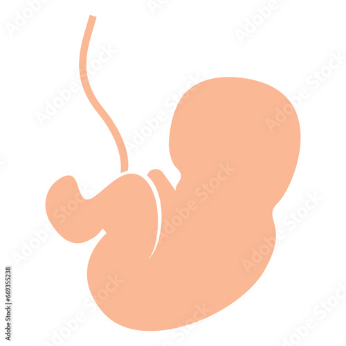 Vector illustration of pregnant baby. Colored vector for website design .Simple design on transparent background (PNG).