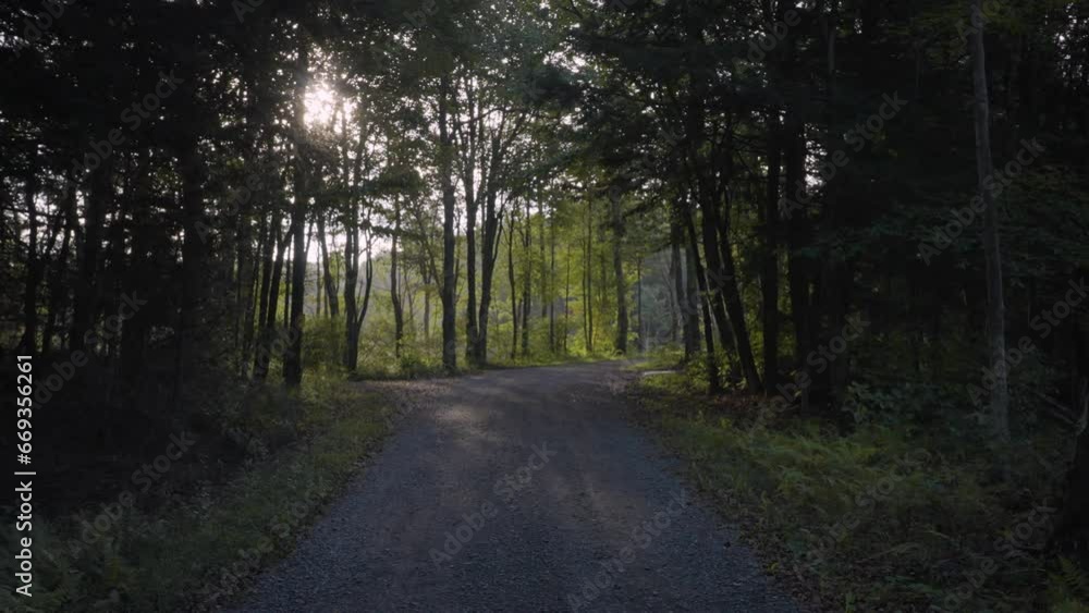 Gravel road in the forest in late summer Gravel road in the forest in late summer