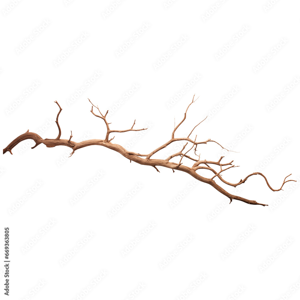 Tree branch isolated transparent, Generative AI Tree branch isolated transparent, Generative AI