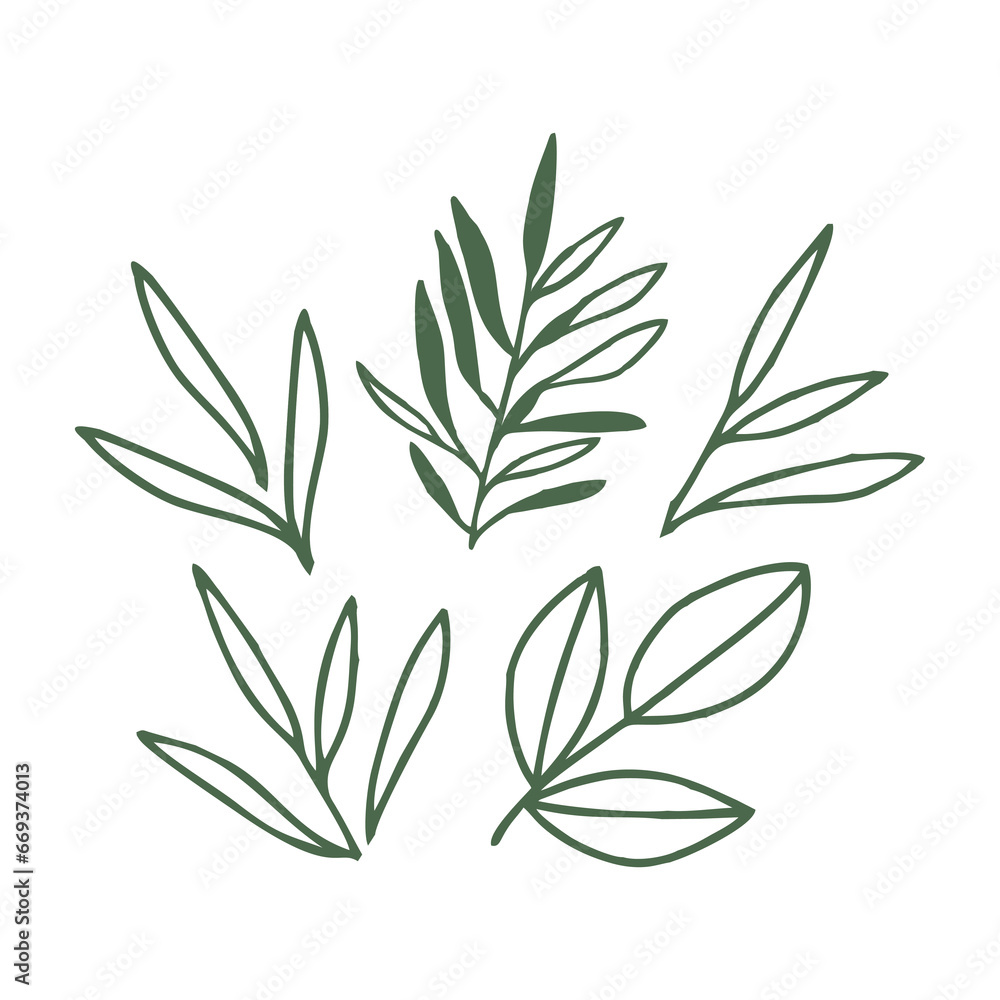 leaf vector doodle botanical illustration set leaf vector doodle botanical illustration set