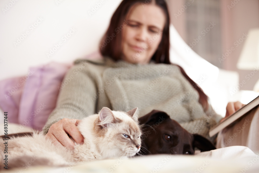 Cat, dog and woman relax in bed together with love, care and happiness in home. Pet, animals and person stroke the fur of a kitten and reading a book in bedroom of house with comfort and support