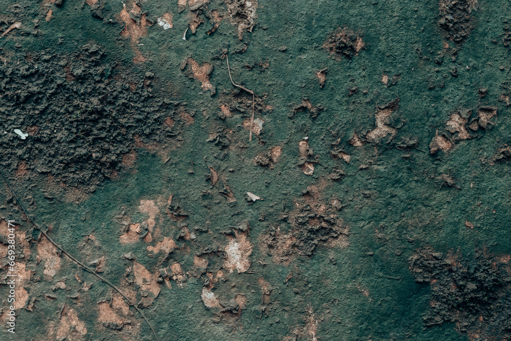 Obraz premium texture of the old wall with lead paint flakes - poisonous lead paint pealing off