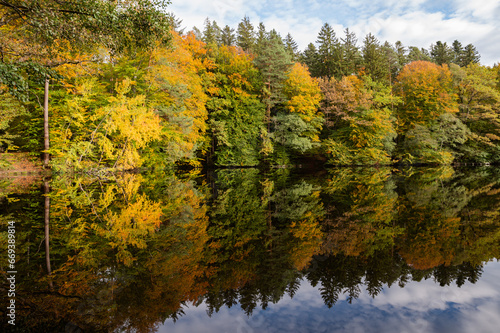 Autumn Trees Reflecting  On  Lake scenic  view of  colorful