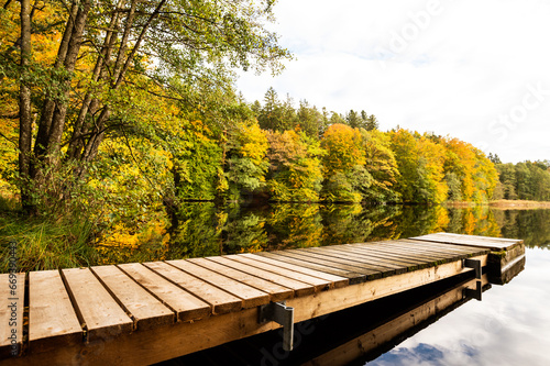 Yellow autumn trees are reflected in a forest pond