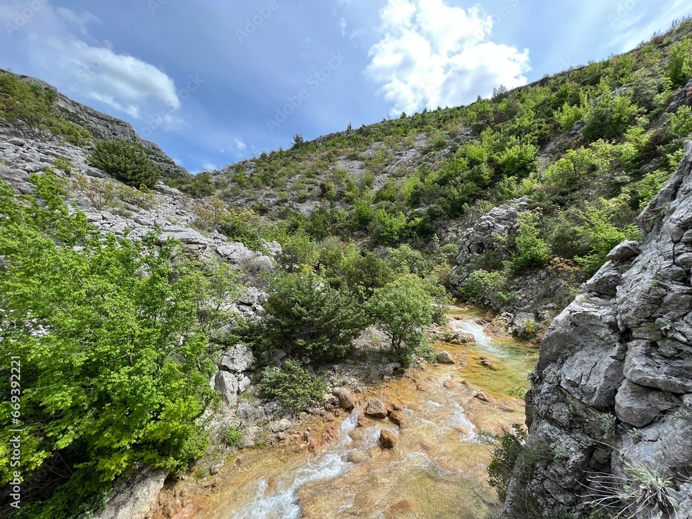 The river Bijela voda or Bijeli Stream in a rugged canyon at the foot of the Przun hill, Karin Gornji - Croatia (Rijeka Bijela voda ili Bijeli potok u krševitom kanjonu podno brda Pržun - Hrvatska) - obrazy, fototapety, plakaty 