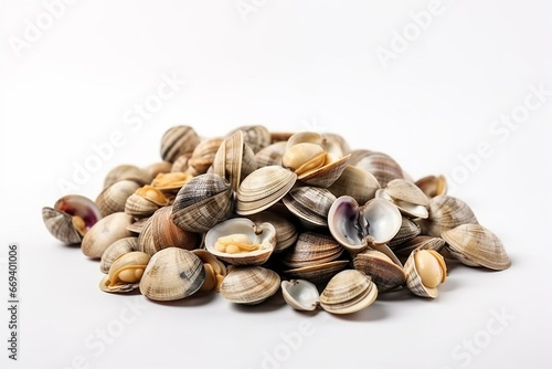 Fresh baby clams, venus shell, shellfish, carpet clams, short necked clams, raw seafood ingredients isolated on white background. Generative AI