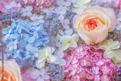 bouquet of pink roses