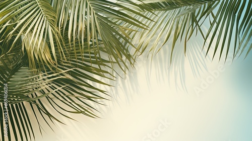 Natural background with palm leaves shadow