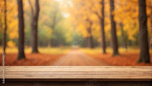 empty wood desk with blurred background of autumn forest © adynue