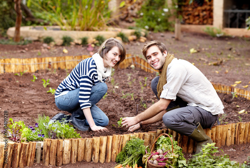 Gardening, harvest and portrait of couple with plants, vegetables together in backyard. Farming, growth and people working with green seedlings or growing plant for sustainable, vegan or organic food