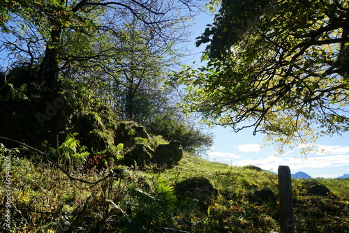 Herbst in den deutschen und österreichischen Alpen