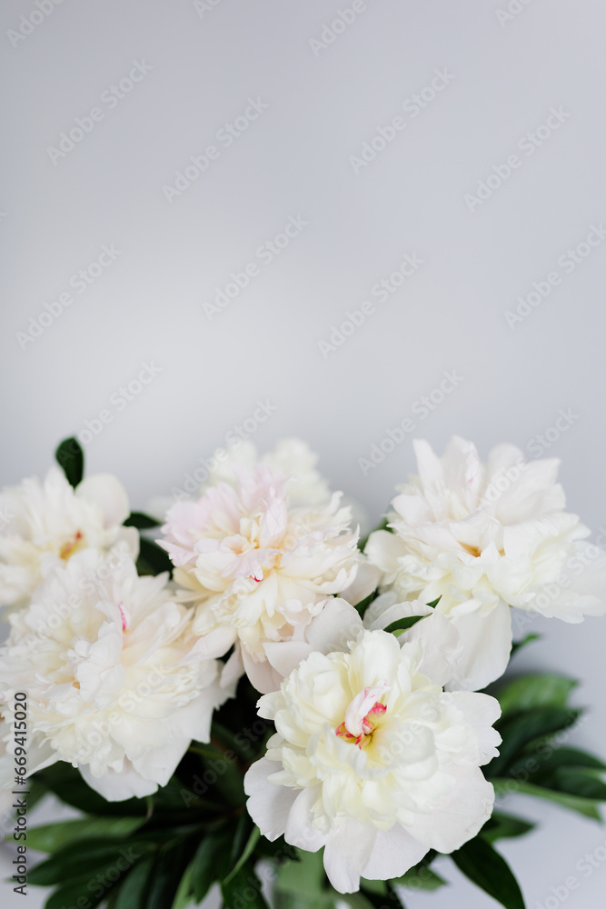 Close up of beautiful fragile white peonies bouquet with copyspace