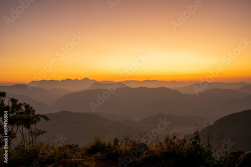 Nature's Embrace: The tranquil interplay of mountain silhouettes and a golden sky, punctuated by the delicate presence of foreground foliage