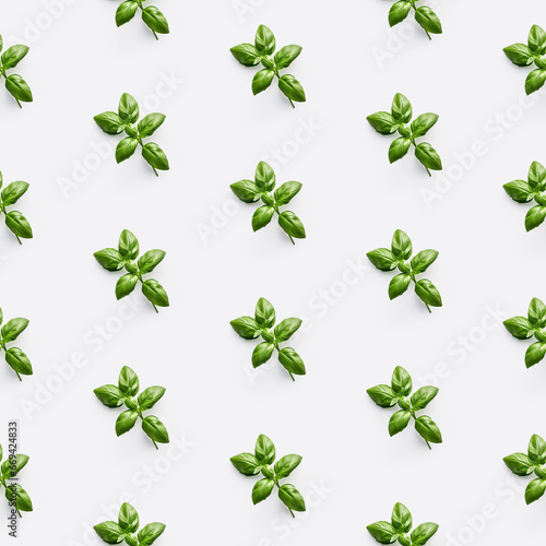 Organic natural Basil vegetable seamless photo pattern on a solid color background