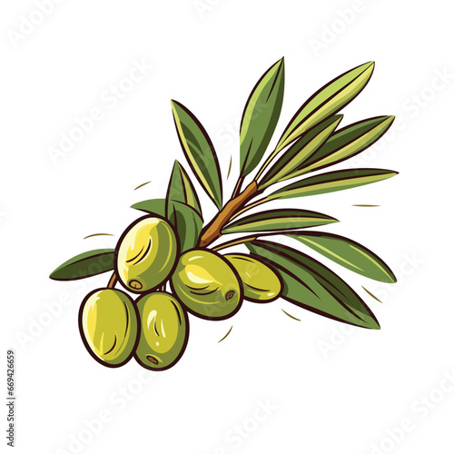 green olives branch with leaves vector illustration, vector olives