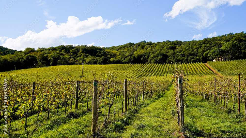 Fototapeta premium Le colline e i vigneti attorno al borgo di Vagliagli . Panorama autunnale. Chianti, Toscana. Italia