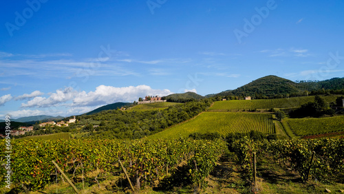 Le colline e i vigneti del Castello di Brolio sul percorso dell Eroica . Panorama autunnale. Chianti  Toscana. Italia