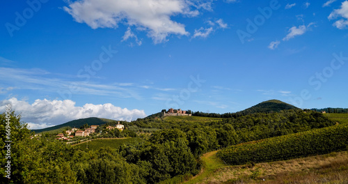 Le colline e i vigneti del Castello di Brolio sul percorso dell'Eroica . Panorama autunnale. Chianti, Toscana. Italia