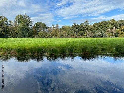 Beautiful pond, green grass and trees in park