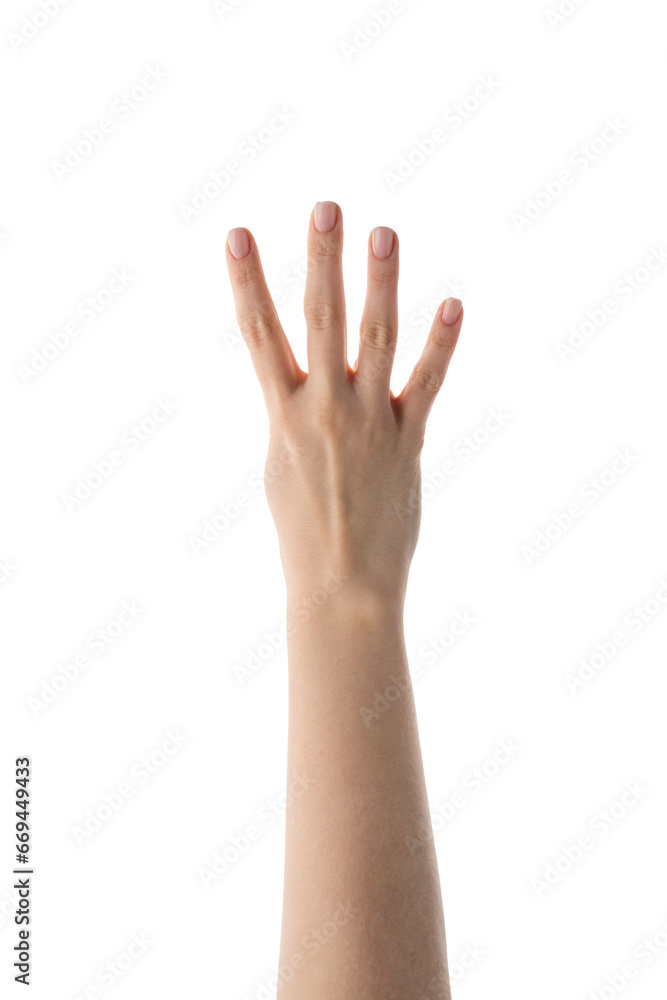 Young female hand counting four isolated on white Young female hand counting four isolated on white