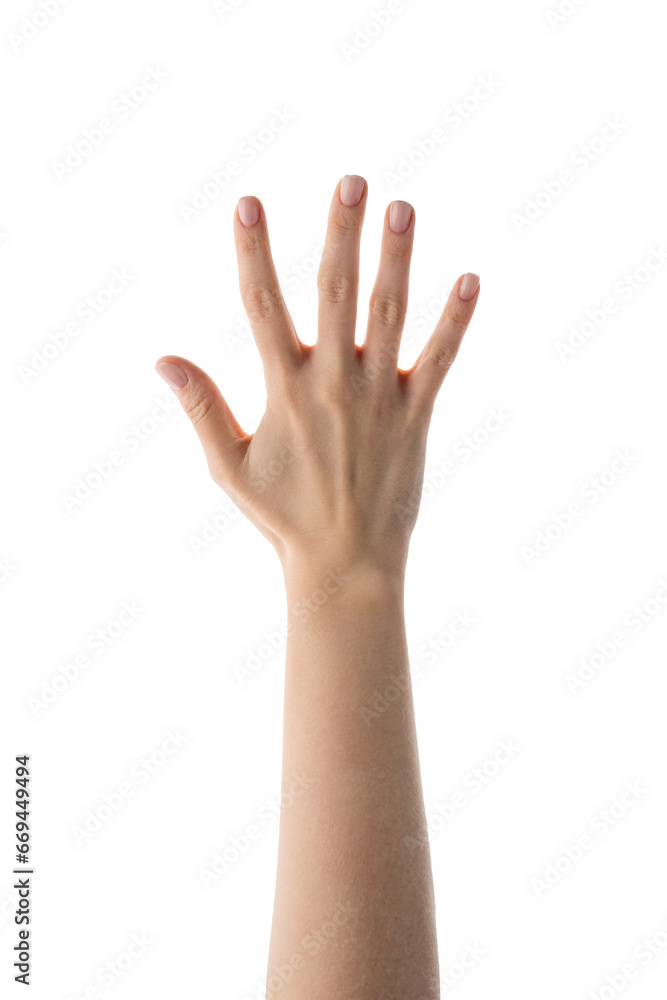 Young female hand counting five isolated on white Young female hand counting five isolated on white