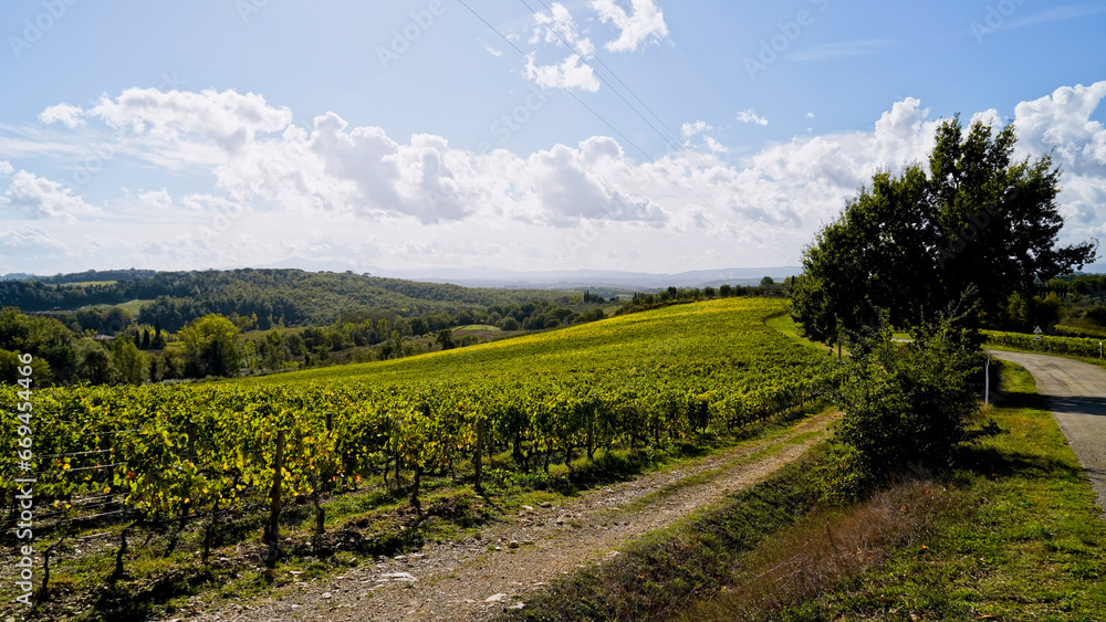 Naklejka premium Le colline e i vigneti del Castello di Brolio sul percorso dell'Eroica . Panorama autunnale. Chianti, Toscana. Italia