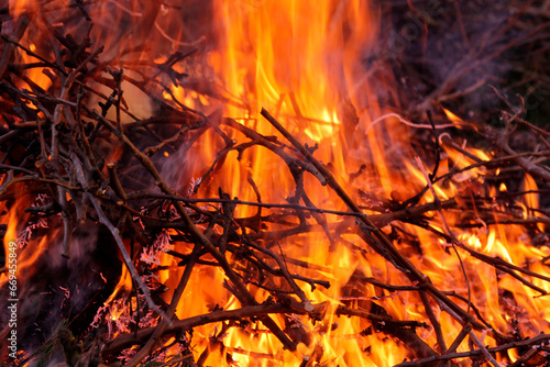 Night fire. Branches burn in flames. Wildfire.